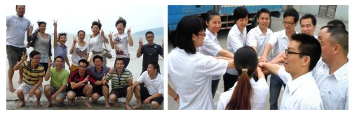 用于家电涂料的纯聚酯Ral彩色电源涂料